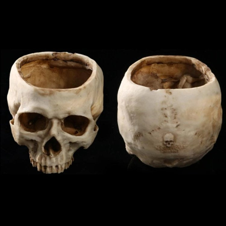 commsmarket-🎃HALLOWEEN SALE 49% OFF🎃HUMAN SKULL BOWL