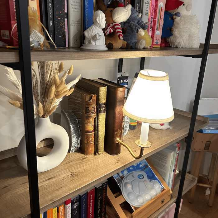 📚Classic Literary Lamp
