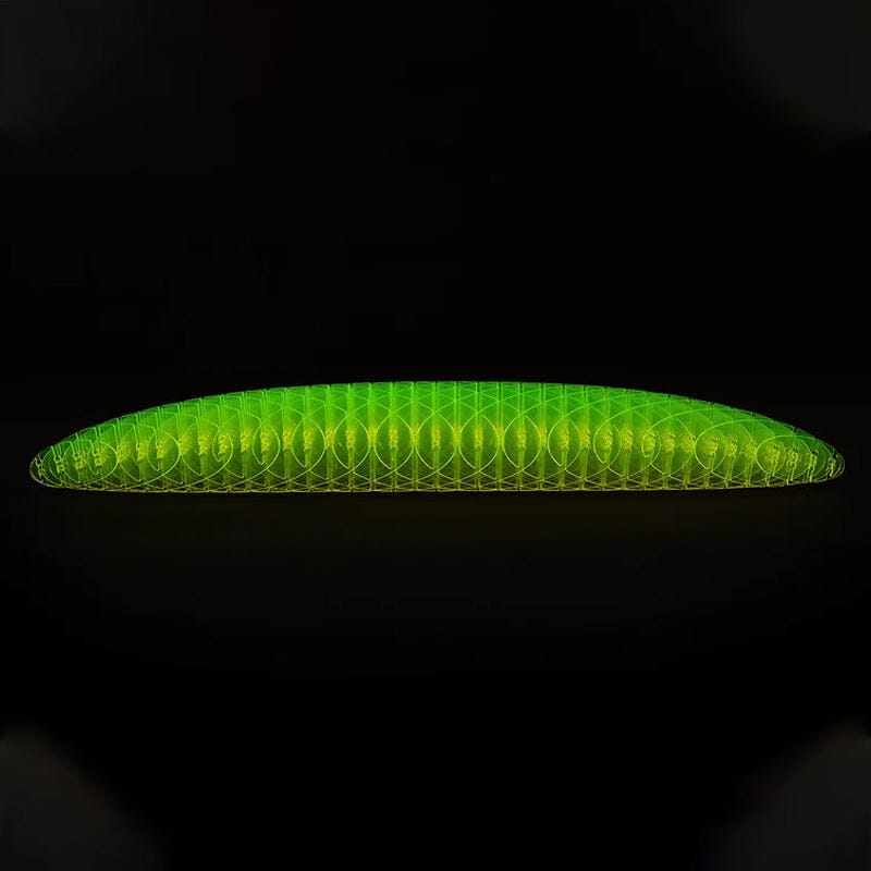 commsmarket-Worm Big Fidget Toy