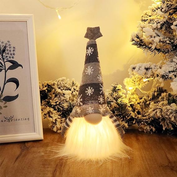 š„Lighted Christmas Gnome
