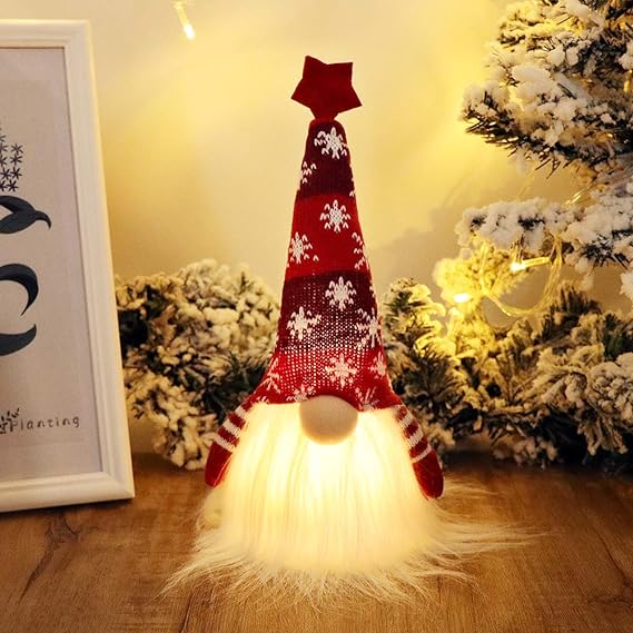 š„Lighted Christmas Gnome