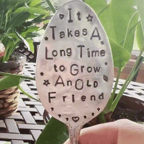 commsmarket-🌱Garden Marker Friendship Gift💕