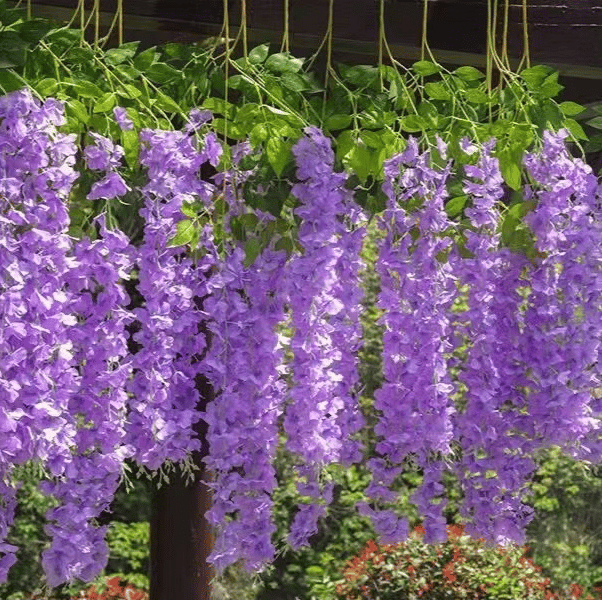 commsmarket-✨This Week's Special Sale 49% Off - UV Simulation Artificial Wisteria