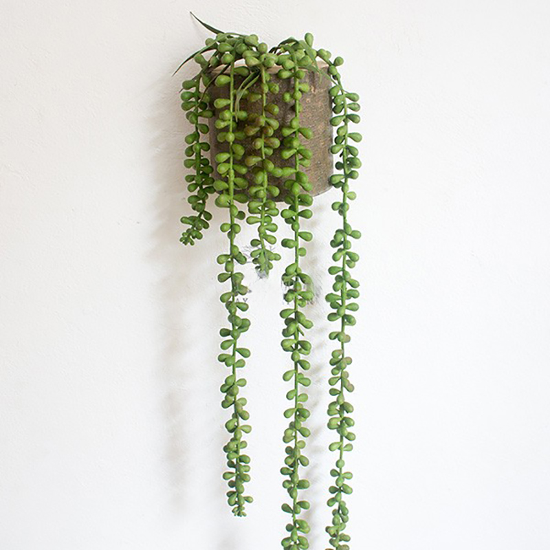 commsmarket-French Moss Wall Hanging Plant Decoration