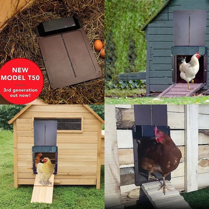 commsmarket-Automatic Chicken Coop Door