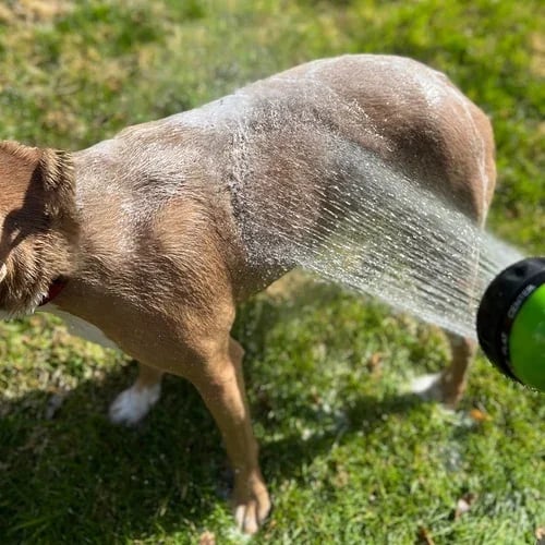 commsmarket-Multi-mode Dog Bath Foaming Water Gun