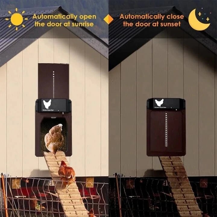 commsmarket-Automatic Chicken Coop Door