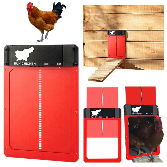 commsmarket-Automatic Chicken Coop Door