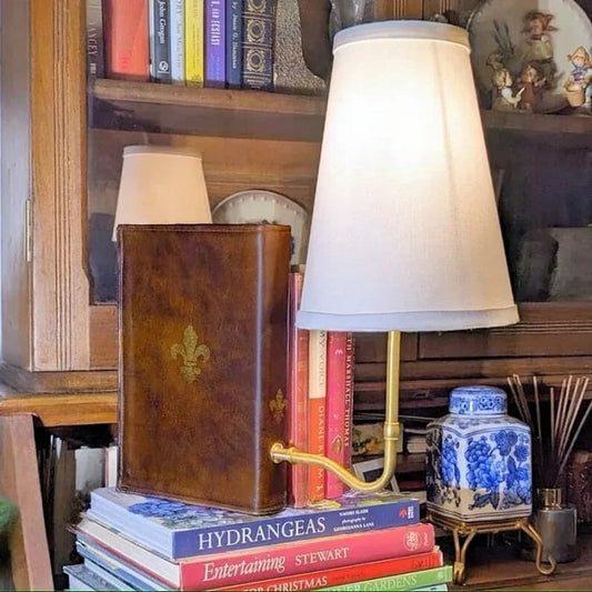 📚Classic Literary Lamp